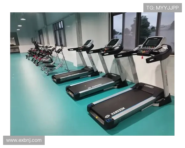 适合老年人的室内健身器材选购手册 适合老年人的室内健身器材选购手册