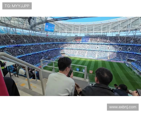 足球赛事中的赛场环境与观赛体验