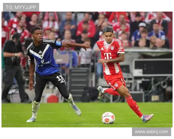 德甲汉堡球队工资的分析与球队财政 德甲汉堡球队工资的分析与球队财政