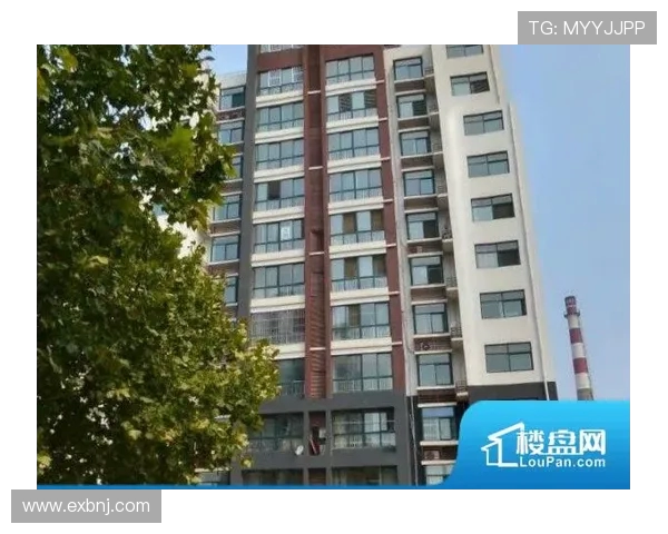 深圳青年人租赁动态曾宇明高康浩卢竞森分别前往泰安和广州发展